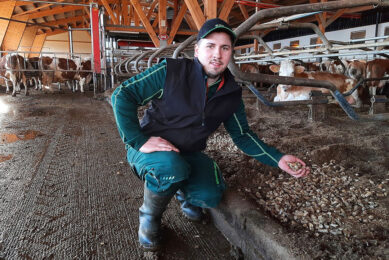 Markus Gruber milks 75 Fleckvieh cows on the family farm in Austria. Photo: Chris McCullough