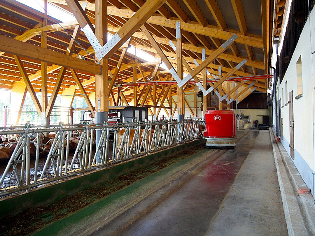 A Lely Vector robot is used to feed the cows on the Gruber farm. Photo: Chris McCullough