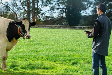 The Ellinbank SmartFarm in Gippsland is Australia’s leading dairy innovation facility, fast-tracking innovative technology solutions. It has an ambitious target of being the world’s first carbon-neutral dairy farm. Photo: SmartFarm at Ellinbank