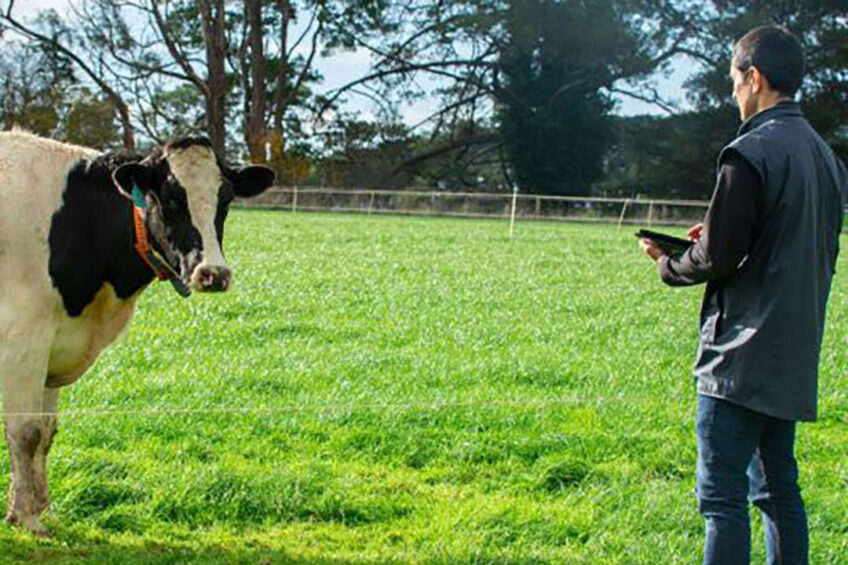 The Ellinbank SmartFarm in Gippsland is Australia’s leading dairy innovation facility, fast-tracking innovative technology solutions. It has an ambitious target of being the world’s first carbon-neutral dairy farm. Photo: SmartFarm at Ellinbank