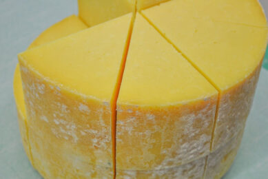 Carbon-neutral cheese is currently being produced at Wyke Farms near Bruton in the UK. Photo: Canva