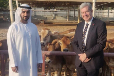 Senator John Le Fondre, chief minister of the island of Jersey, met HH Sheikh Maktoum bin Hamad Al Sharqi at Rumailah Farm. Photo: Rumailah Farm