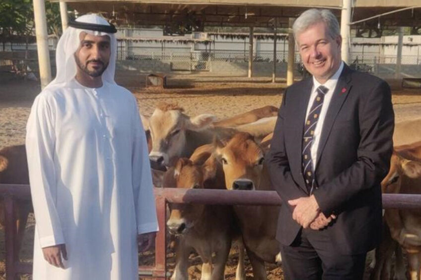 Senator John Le Fondre, chief minister of the island of Jersey, met HH Sheikh Maktoum bin Hamad Al Sharqi at Rumailah Farm. Photo: Rumailah Farm