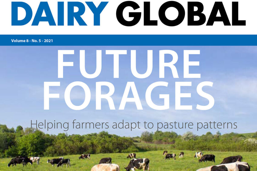 Dairy Global 5: Read the final 2021 edition now!