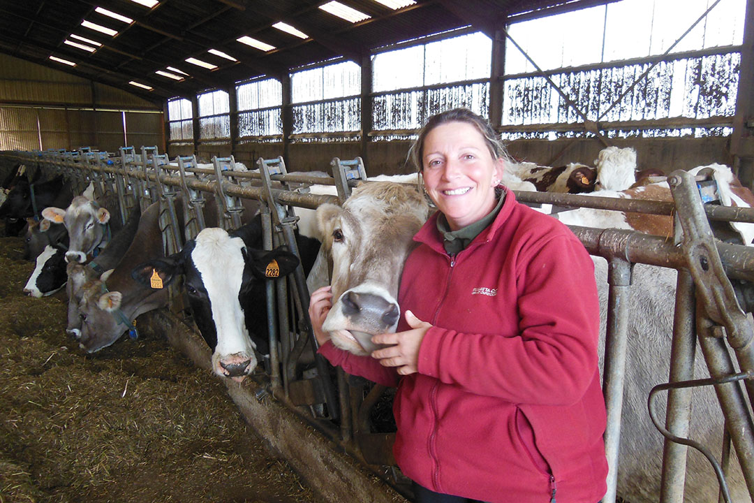 Linda is in charge of the cow management and of the inseminations. Photo: Philippe Caldier