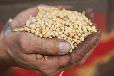 “China is the biggest source of soybean demand,” explains Stefan Vogel, global sector strategist, grains & oilseeds, at RaboResearch Food & Agribusiness. Photo: Mark Pasveer