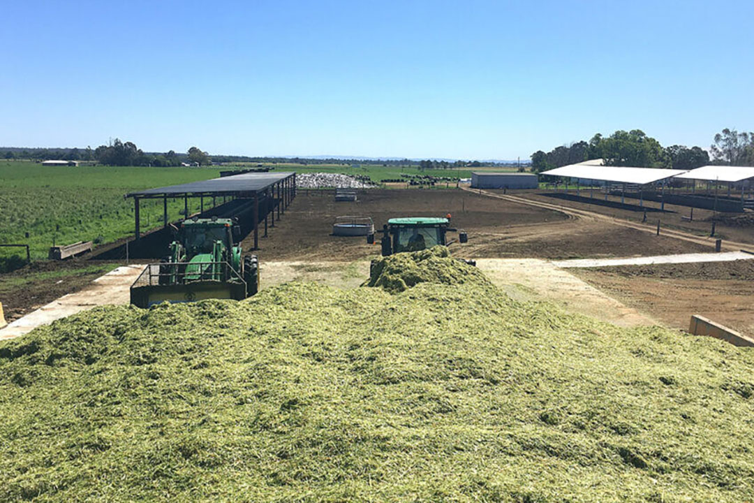 Silage is made to feed the cows through the winter months. Photo: Chris McCullough