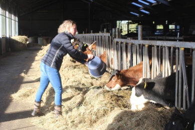 Organisations, academic staff, producers and others involved in the dairy industry are encouraged to nominate individuals to recognise their outstanding work and dedication to the dairy industry. Photo: Zana van Dijk