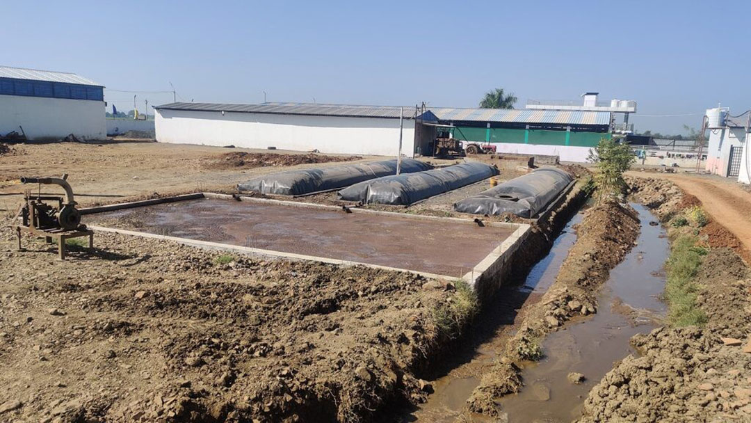 Sistema has a case study of a dairy farmer in India with about 200 cows who installed a Sistema.bio digester around two years ago. Photo: Sistema