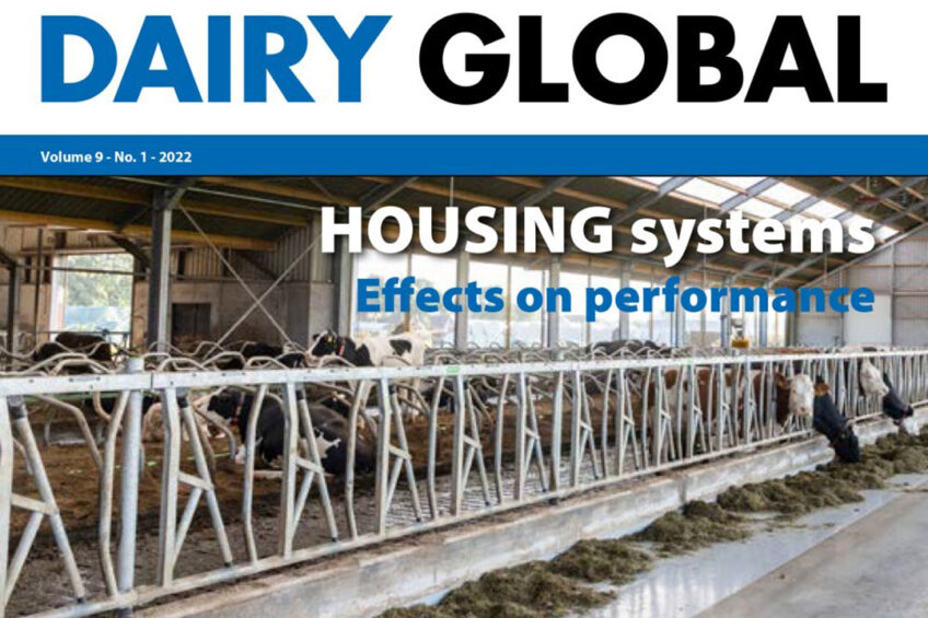 Dairy Global edition 1: A look at housing and gene editing