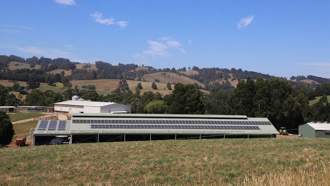 At the Smart Farm in Ellinbank 99.8 kW of solar is coupled with a 100 kWh battery that provides 40% of the farm’s electricity needs. Photo: State of Victoria