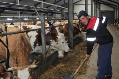 Some Russian milk farms could close its doors due to the new regulation. Photo: Vladislav Vorotnikov