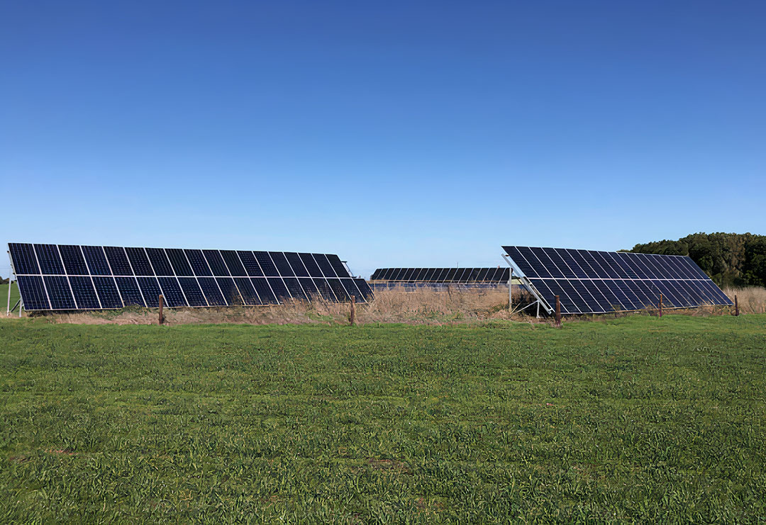 With the extra space available on farms, there may be suitable sites on the ground to set up the arrays to maximise insolation and efficiency. Ground systems would need to be fenced off from cattle. Photo: Rabobank