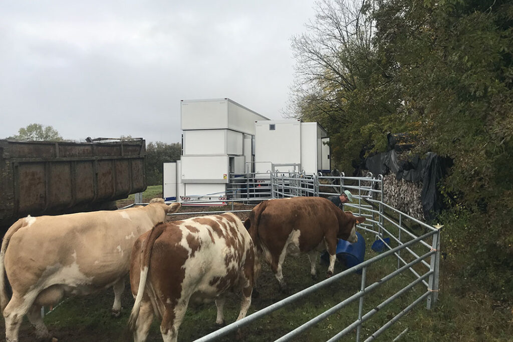 The first six cows waiting for slaughter in front of the mobile slaughterhouse last October: with an average of 420 kg carcass each, they were paid between 4,40 and 4,45 €/kg by Le Boeuf Ethique. Photo: Philippe Caldier