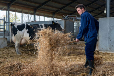 To keep a business resilient, farmers should think ahead about what the plan is when staff are unavailable. Photo: Jan Willem Schouten