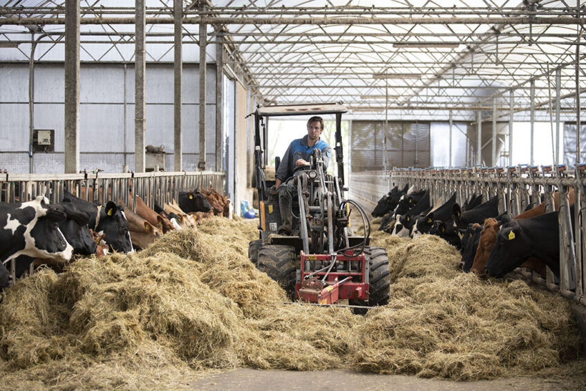 Supporting dairy farmers to operate more profitably saw Score 5 levels of support fluctuate between 36% for using market intelligence analysis, 35% for dairy breeding and genetics work and just 31% for people working in agriculture and the labour supply sectors. Photo: Mark Pasveer