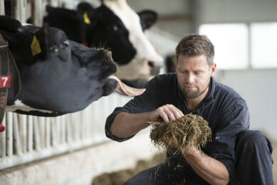 The biggest and likely the easiest way to reduce feed costs on many dairy farms is to minimise waste and shrink. Photo: Mark Pasveer