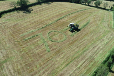David Dunlop decided to row up the number 70 in the grass on the farm just outside Royal Hillsborough village. "I decided to create my very own tribute to the Queen whose reign has stretched for a remarkable 70 years." Photo: David Dunlop