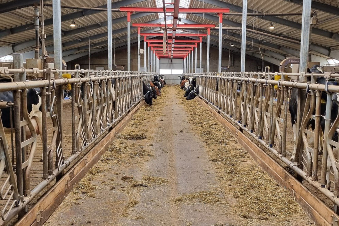 The new barn on Roi's farm was built in 2019. Photo: Chris McCullough