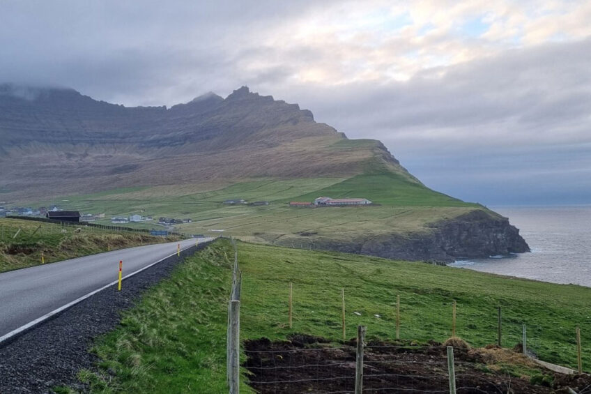 Roi's farm is situated (on the right of photo) just below Kap Enniberg on the north of the island. Photo: Chris McCullough