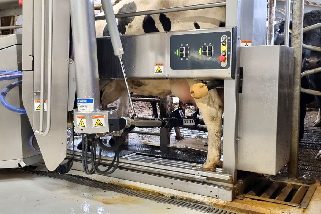 Roi and his partners invested in 2 DeLaval VMS300 robotic milkers. Photo: Chris McCullough