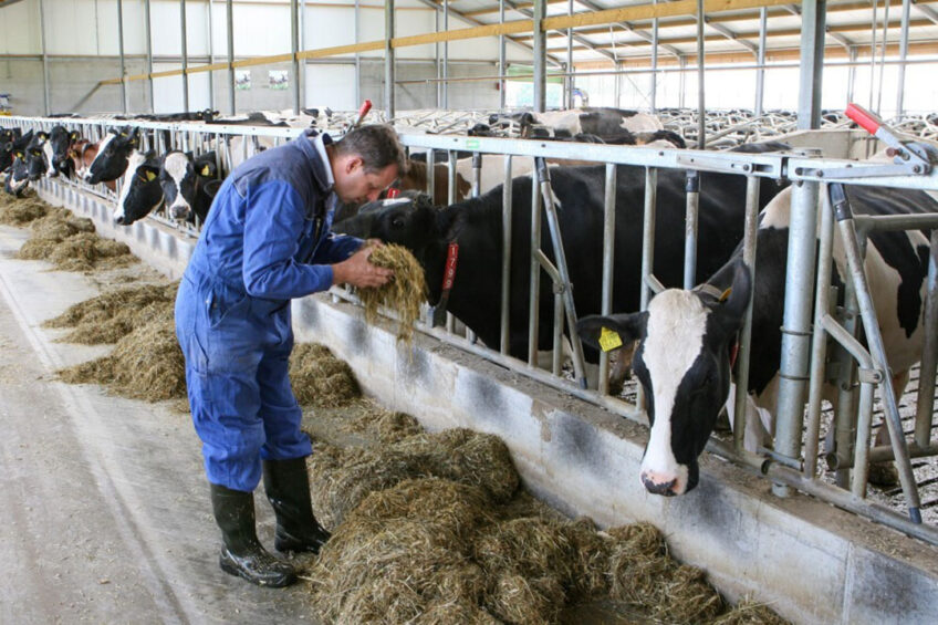 Over the next two years dairy farmers were most concerned about feed prices (93%), fuel (91%), energy (89%) and fertiliser (88%). Photo: Bert Jansen