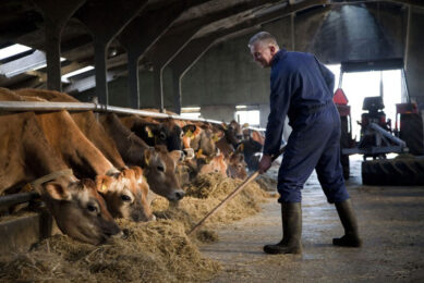 protein content of dairy cow rations can be reduced from around 175 to 150g/kg DM without affecting cow performance if the diet is properly formulated. Photo: Jan Willem Schouten