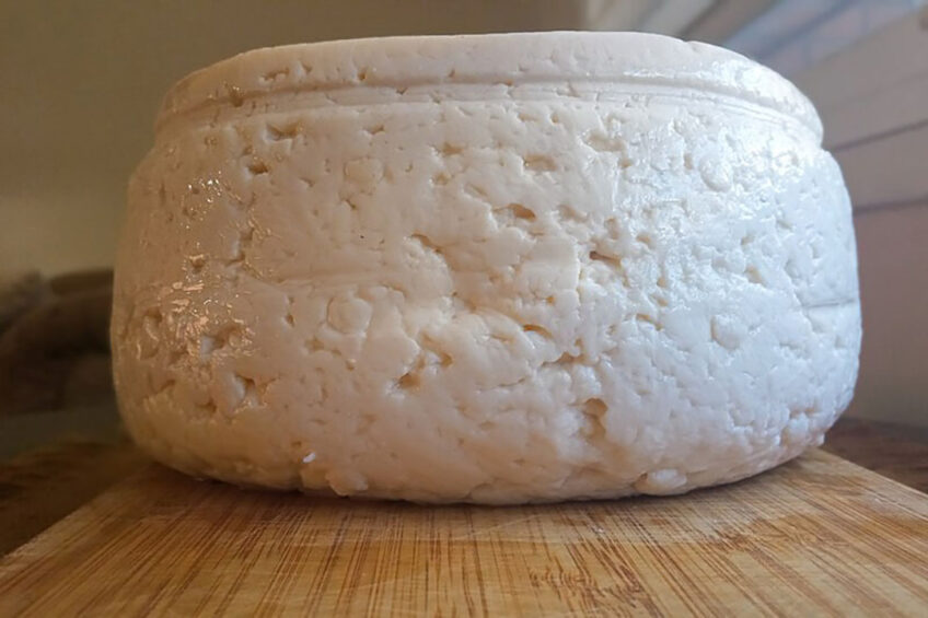 Queso Llanero is a hard cheese that has a high salt content. It is pressed in a belt. It can be kept for a long time without refrigeration. Due to its texture it can be grated, which is why it is a very popular cheese. It is native to the Venezuelan savannah. Photo: Daniel Azevedo