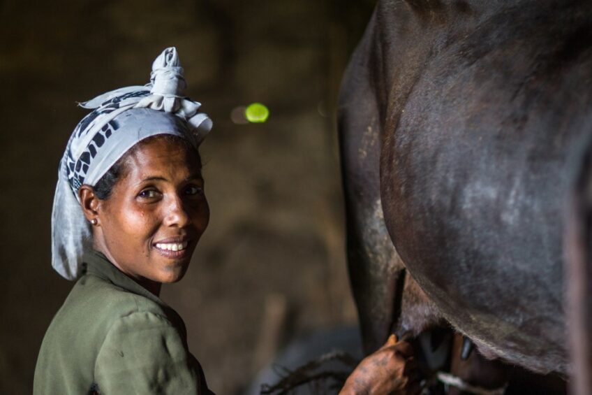 Enhancing livelihoods and livestock production in Africa