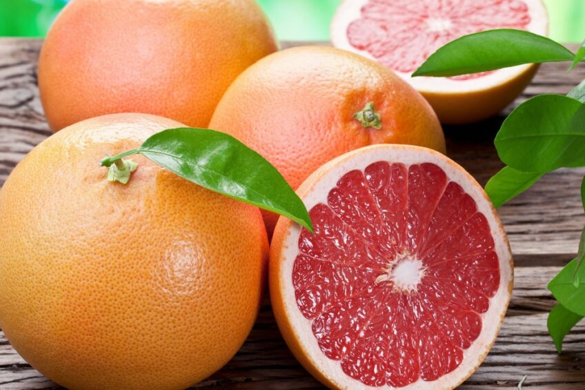 Use of citrus by-products in ruminant feeding