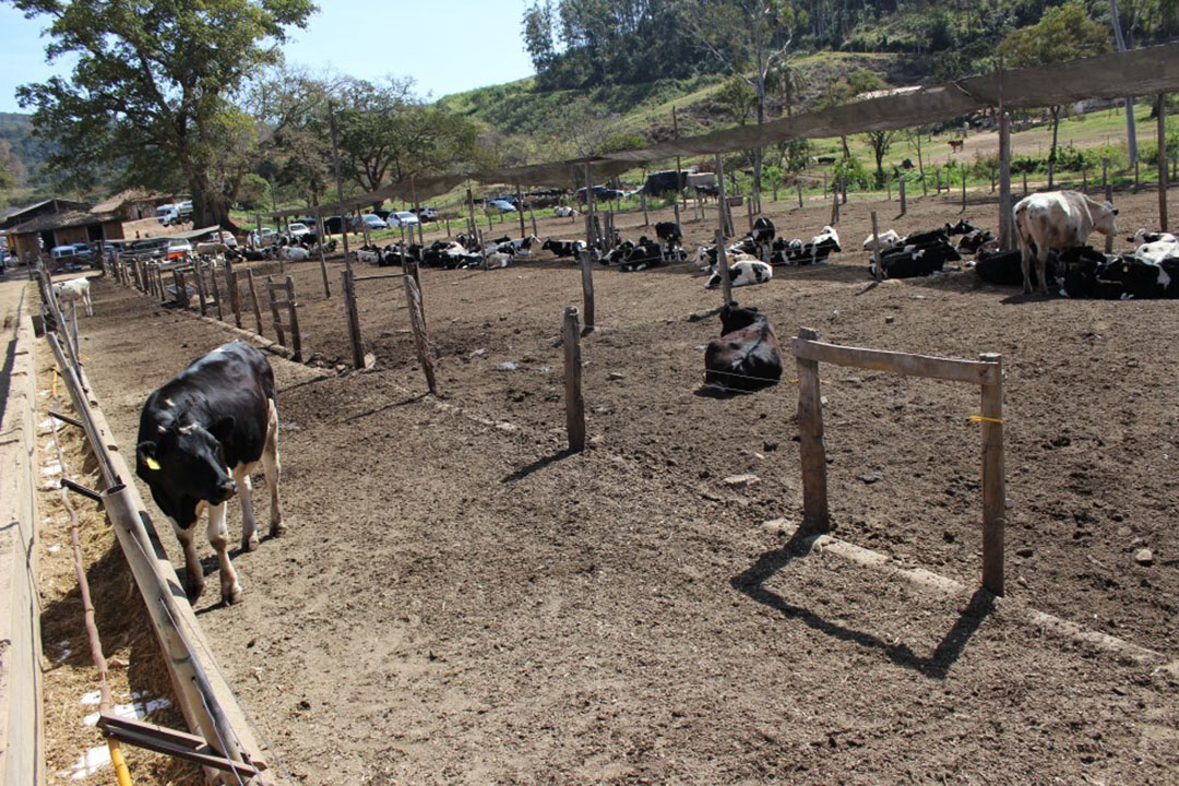 Atalaia Farm is located in Amparo city, São Paulo State, Brazil. Photo: Daniel Azevedo