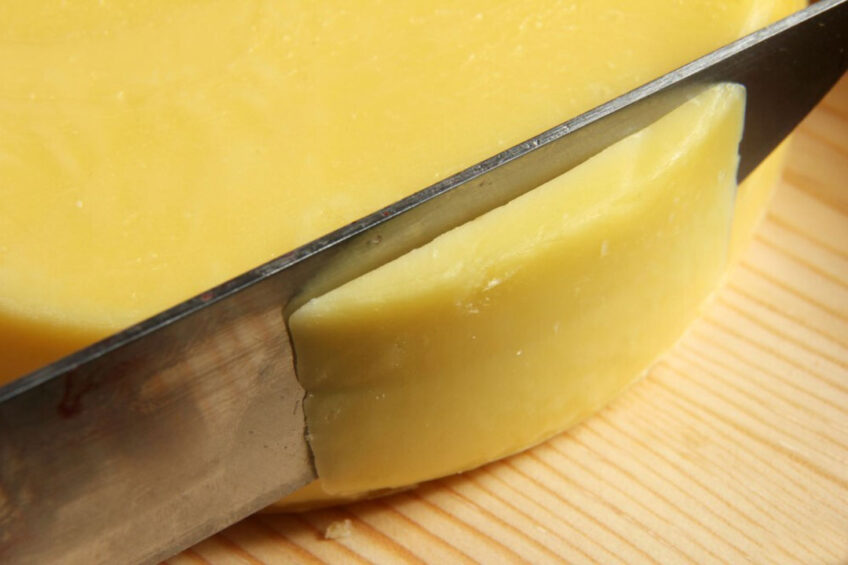 Cheese exports have gradually increased with year to date (Jan-June) 25% above those seen last year and running in line with overall totals for the first half of 2020. Photo: Canva