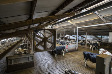 Poor or inadequate fan maintenance can decrease the overall airflow by fans as well as the efficiency of these motors by as much as 40%, increasing electric bills unnecessarily. Photo: Ronald Hissink
