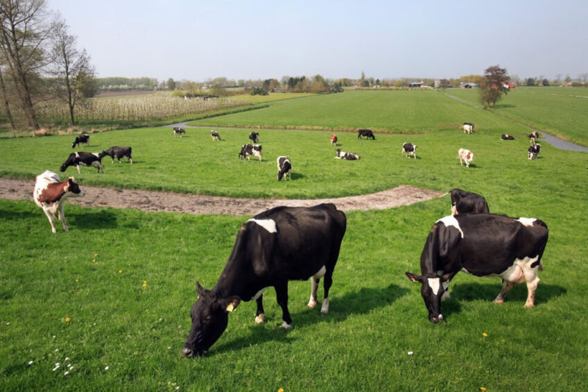 Farmers that grow more grass forage as feed and leverage manure, legumes, cover crops and organic amendments to improve soil health and fertility can overcome dependencies on high-cost inputs. Photo: Herbert Wiggerman