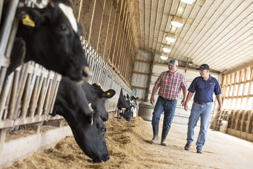 Feed additives should be selected for their ability to meet the needs of a particular ration and for their return on investment. Photo: Alltech