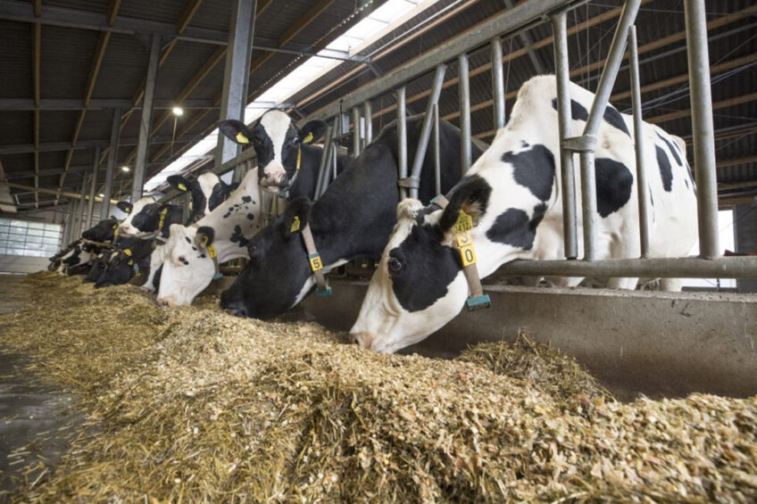 The survey hopes to establish whether farmers still use a silo or any other container storing loose concentrated feedstuffs, that predates 1 August 1996 and how has it been cleaned since that time. Photo: Koos Groenewold