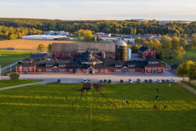 DeLaval's Hamra Farm is currently undergoing a big expansion with a new dairy unit for 550 cows. Photo: Chris McCullough
