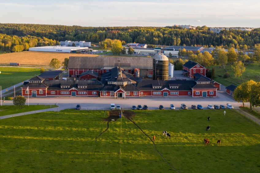 DeLaval's Hamra Farm is currently undergoing a big expansion with a new dairy unit for 550 cows. Photo: Chris McCullough