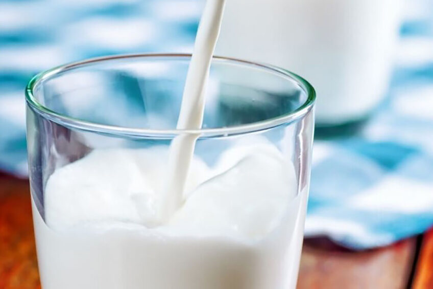 The total milk production in Israel is about 1.6 billion litres per year. Photo: Canva