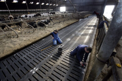 Rubber remains an interesting alternative surface to the natural ones. Photo: Hans Prinsen