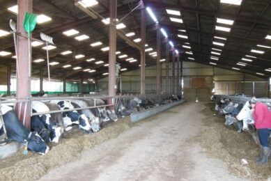 The Dairy 4 Future project aims to improve the competitiveness of the dairy farms. Photo: Philippe Caldier