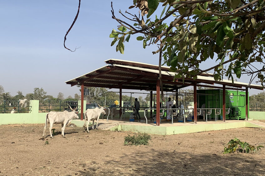 Farmers bring their milk to special milk collection sites like this one. Photo: Snorri Sigurdsson