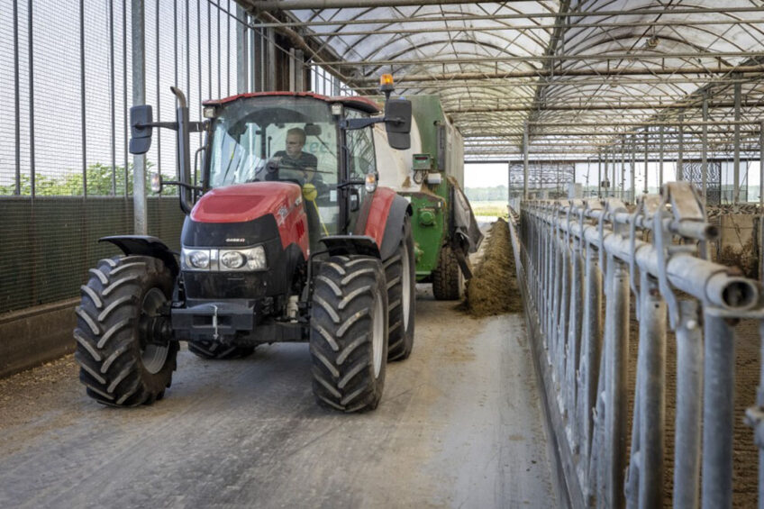 Many employees may not see their own potential and need to be persuaded or nudged to do a job better or take on new responsibilities. Positive role models show them it can be done and help them set personal goals that align with farm goals. Photo: Koos Groenewold