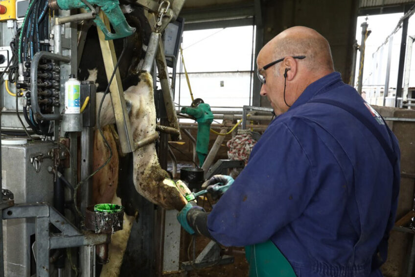 Researchers are asking people to take a blood test and complete a short questionnaire. They are particularly keen for people working with cattle in the South West, such as farmers, vets, TB testers and milkers. Photo: Henk Riswick