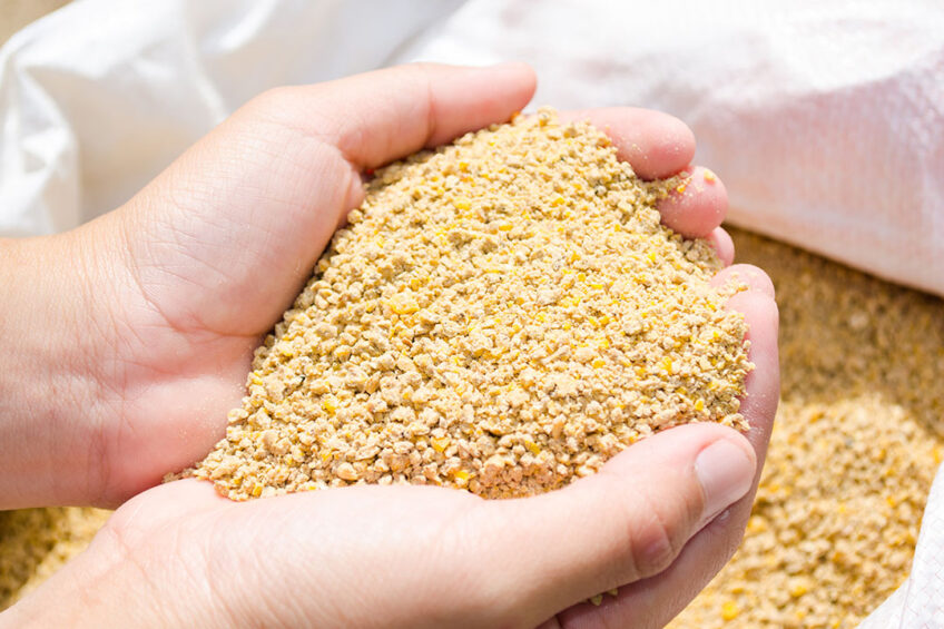 Feed additives: A practical example of improved sustainability