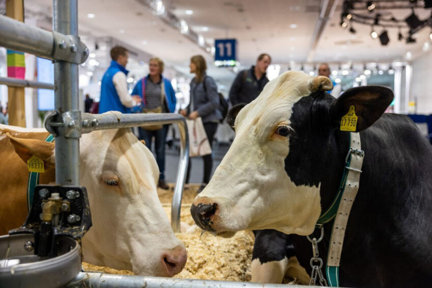 EuroTier: A spotlight on dairy innovations