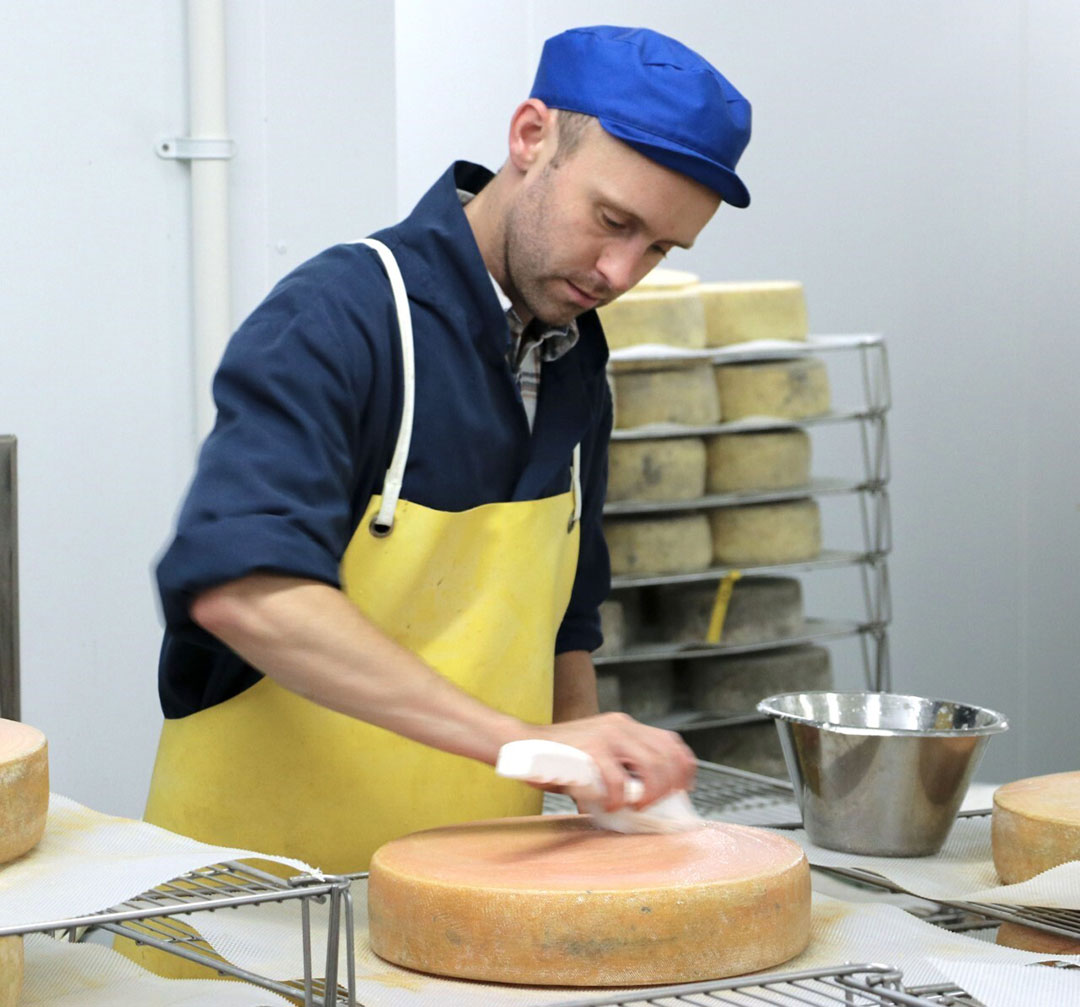 All cheeses made by King Stone Dairy are produced using organic milk. Photo: Sam Brice