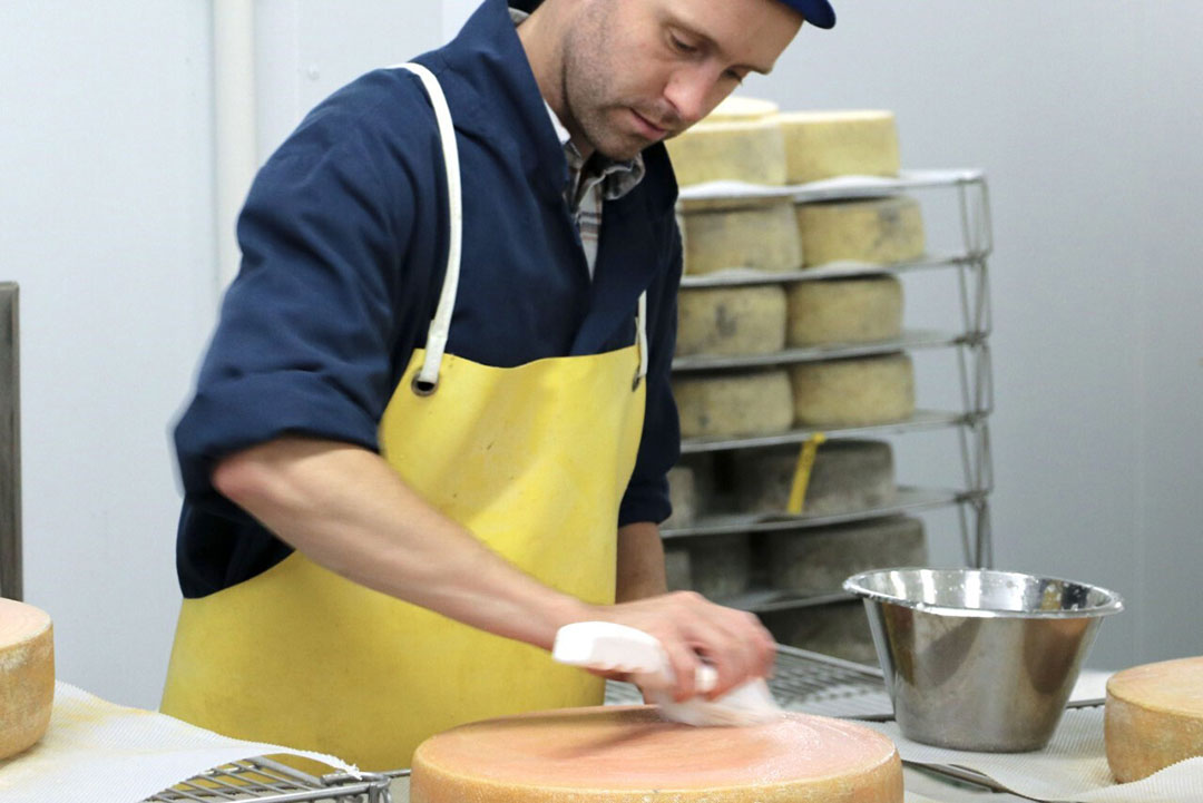 All cheese made by King Stone Dairy are produced using organic milk. Photo: Sam Brice