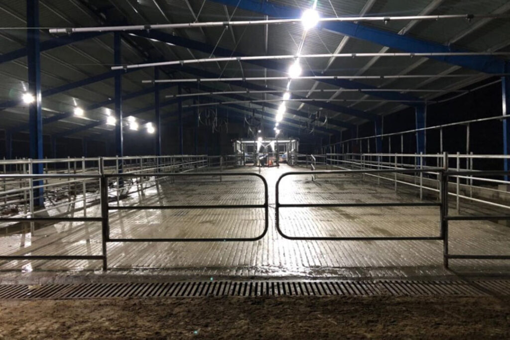 Modern handling facilities have been built on the farm. Photo: Chris McCullough
