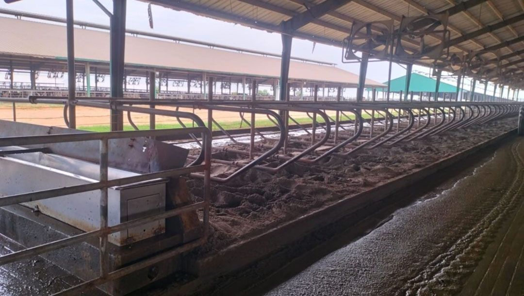 Cubicles are sand based and are cleaned every day. Photo: Chris McCullough